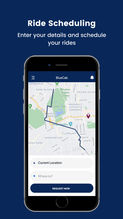 BlueCab Rider Screenshot