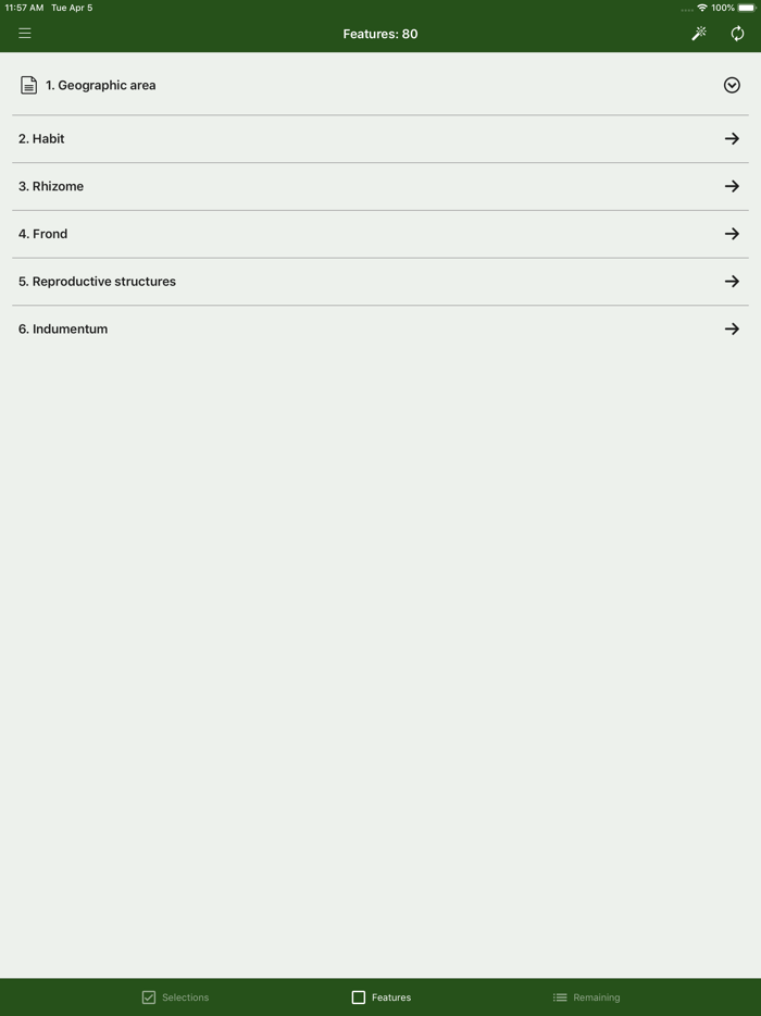 Australian Tropical Ferns