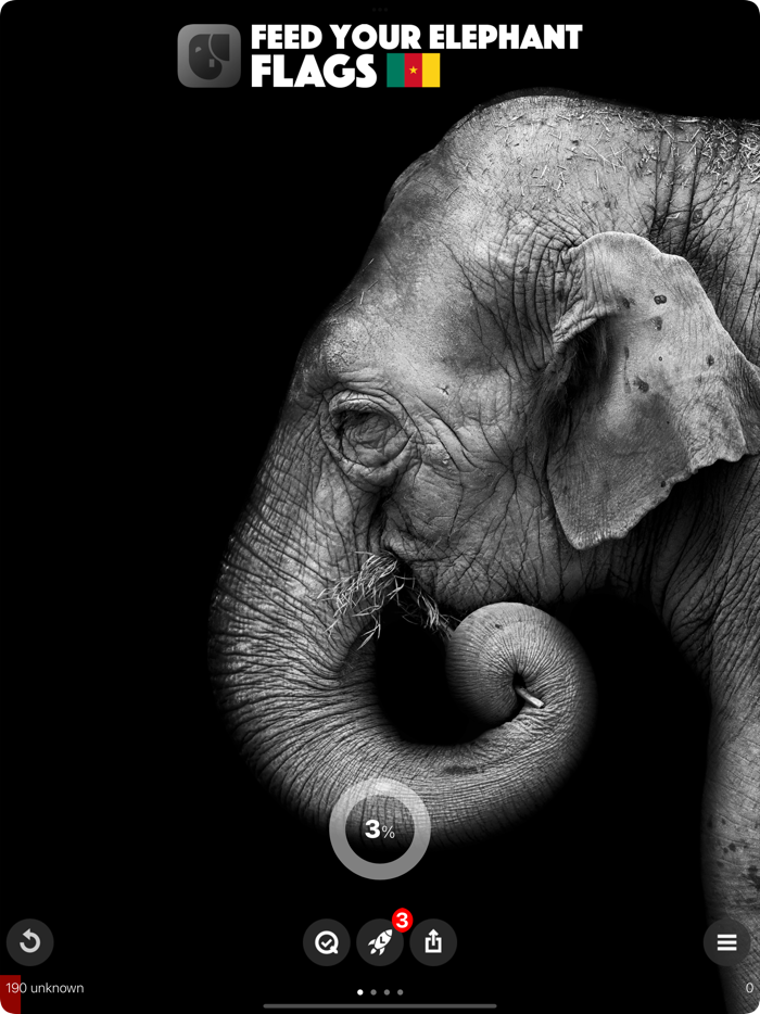 Feed Your Elephant Flags