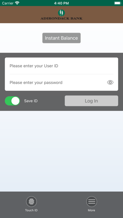 Adirondack Bank Mobile Money Screenshot
