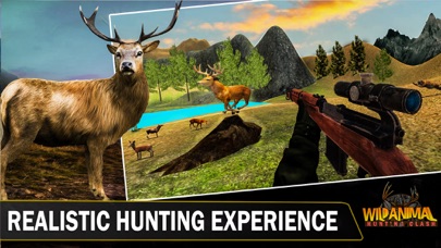 Wild Animal Hunting Clash Screenshot