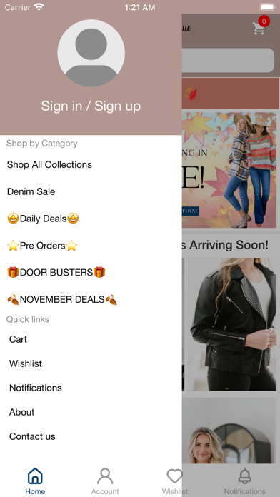 Southern Western Boutique Screenshot