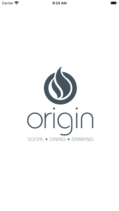 Origin Screenshot