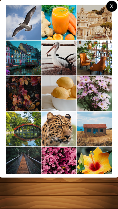 Jigsaw Puzzle Simple Screenshot