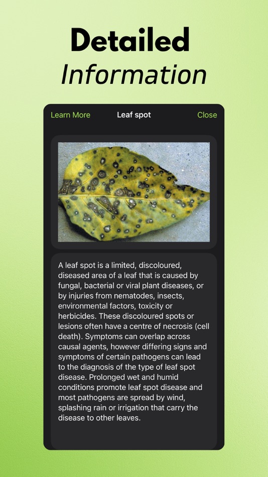 #5. Plant Disease Identifier AI (iOS) 由: Arda Sen