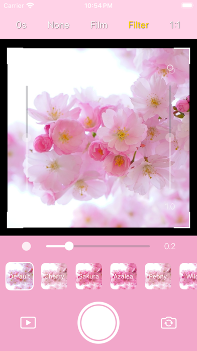 Screenshot #3 pour DICA - Cherry Blossom