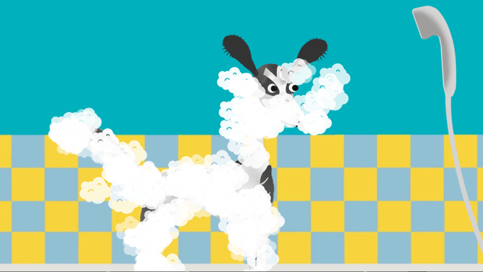 Tiki - Story about a dog