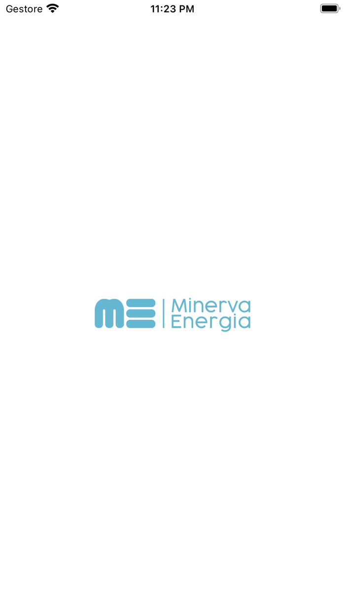 MINERVA ENERGIA