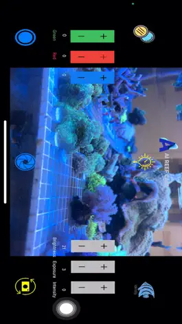 Game screenshot AI Reef Cam apk