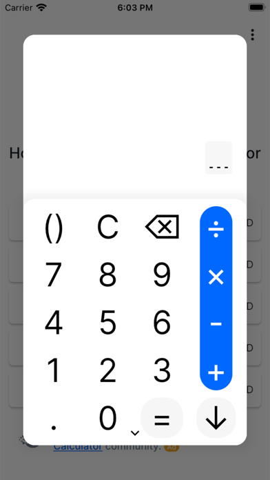 Financial Leverage Ratio Screenshot