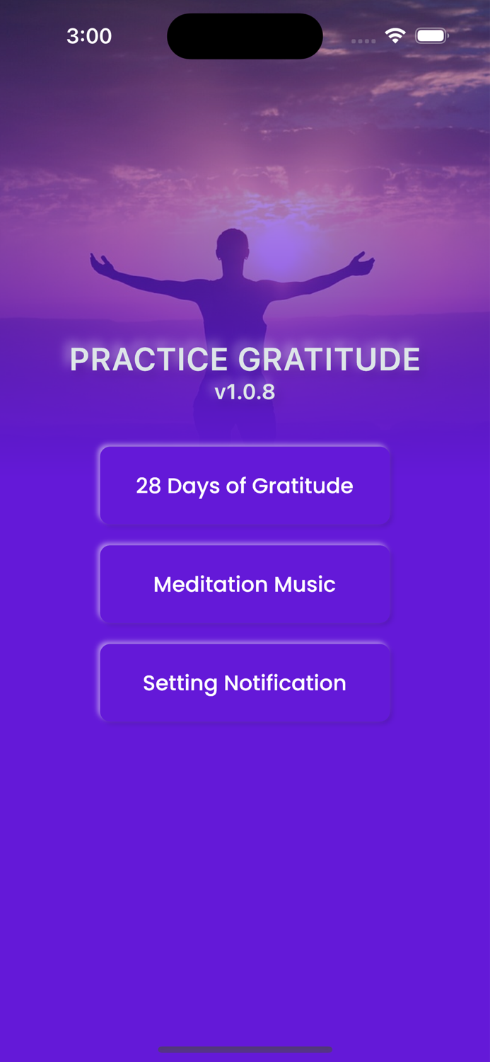 Vision Board Gratitude Journal