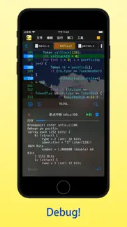 c code develop iphone screenshot 2
