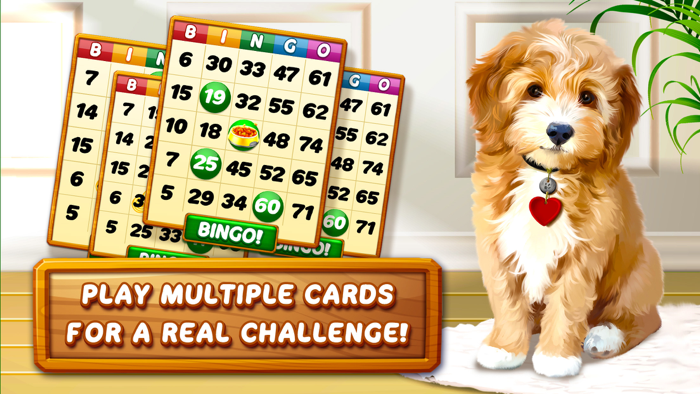 Bingo Dog - Fun Game 2022