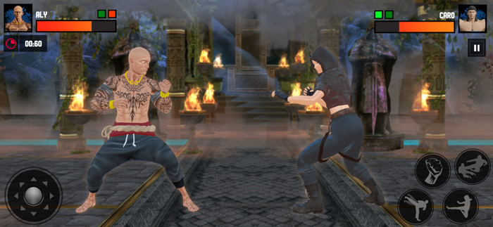 Kung Fu - Fighting game