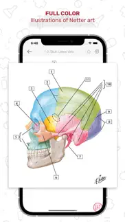 netters anatomy flash cards iphone screenshot 3