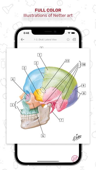 Screenshot #3 pour Netters Anatomy Flash Cards