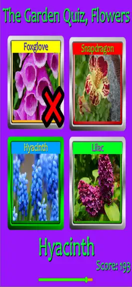 Game screenshot The Garden Quiz: Flowers mod apk