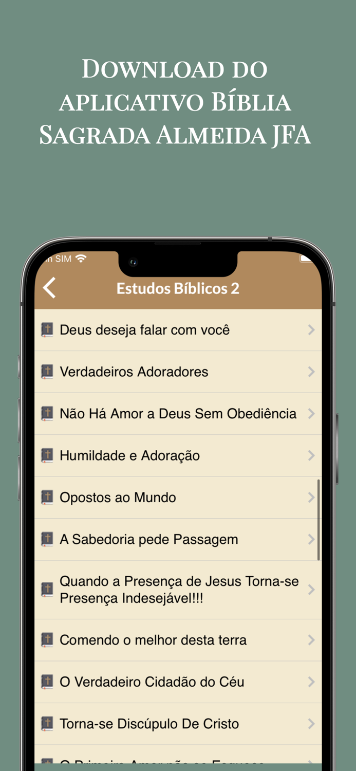 Bíblia João Ferreira Almeida