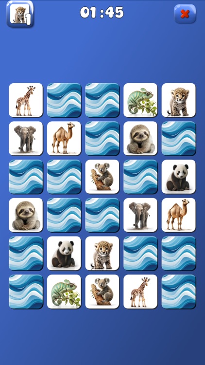 Find 2 - Match Master