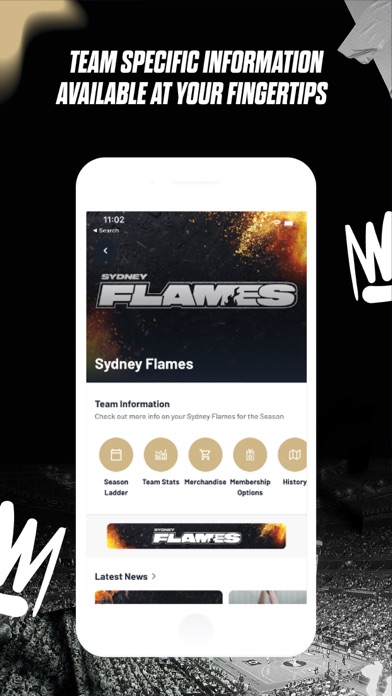 Hoops Capital Screenshot