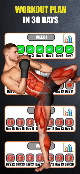 Game screenshot Тренировка по кикбоксингу apk