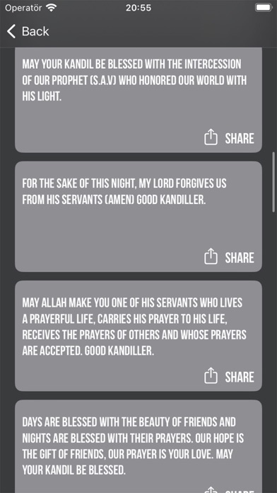 The Quran - Surahs and Verses Screenshot