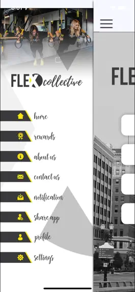 Game screenshot FLEXcollective apk