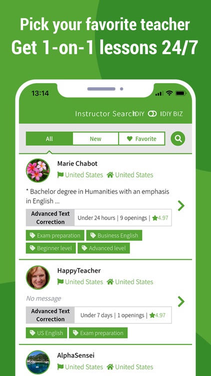 IDIY - Essay Writing Lessons