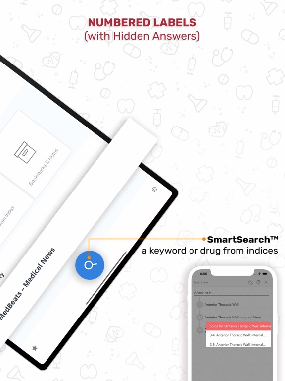 Screenshot #2 for Netters Anatomy Flash Cards