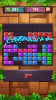 block puzzle premium iphone screenshot 4