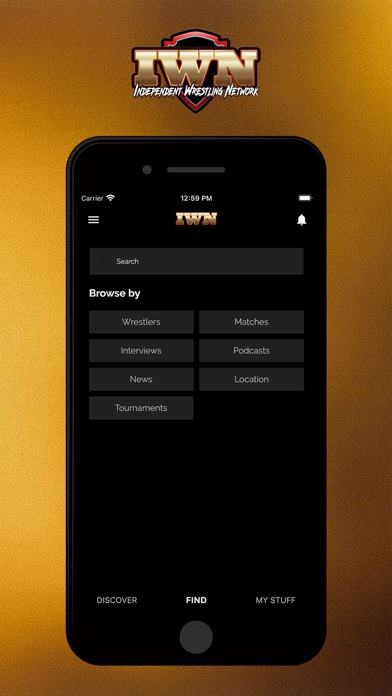 IWN Wrestling Screenshot