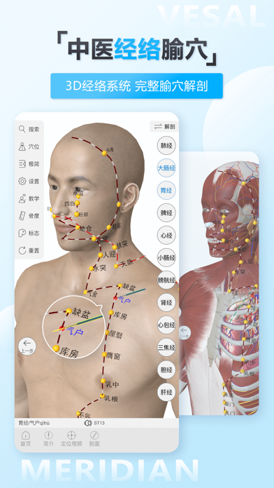 维萨里3D解剖-学生学习老师教学医生资源人体医学图谱大全 screenshot 3