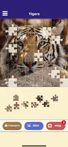 Tiger Love Puzzle screenshot #5 for iPhone