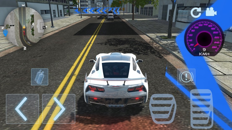 Car Simulator - Car Driving 3D screenshot-6