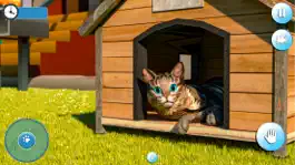 Game screenshot Pregnant Cat & Cute Kitty Game mod apk