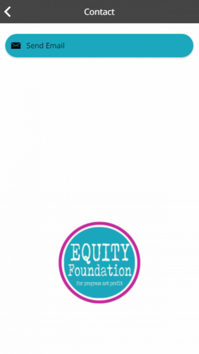 Equity Foundation Screenshot