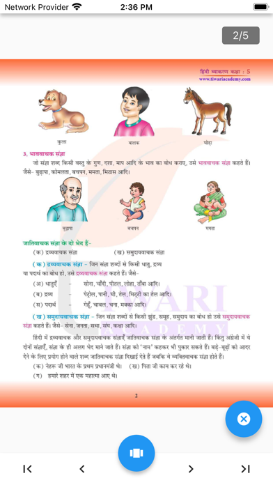 Class 5 Hindi Grammar Vyakaran Screenshot