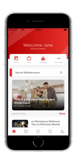 Game screenshot NicNac Intranet mod apk