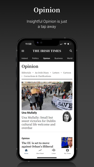 The Irish Times News Screenshot