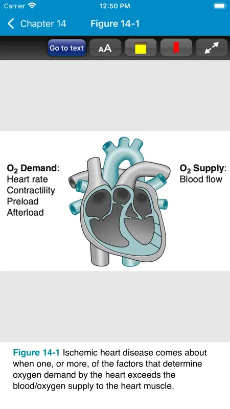 Basic Concepts Pharmacology 6E screenshot 7 of 10