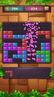 block puzzle premium problems & solutions and troubleshooting guide - 4