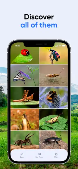 Game screenshot Bug ID: Insect Identifier AI apk