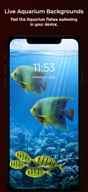 aquarium fish live wallpaper for desktop
