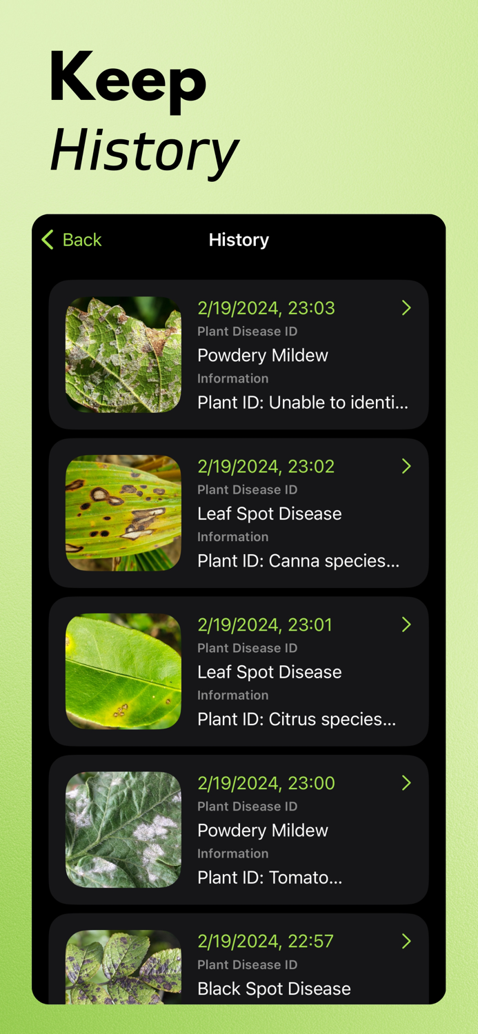 Plant Disease Identifier AI