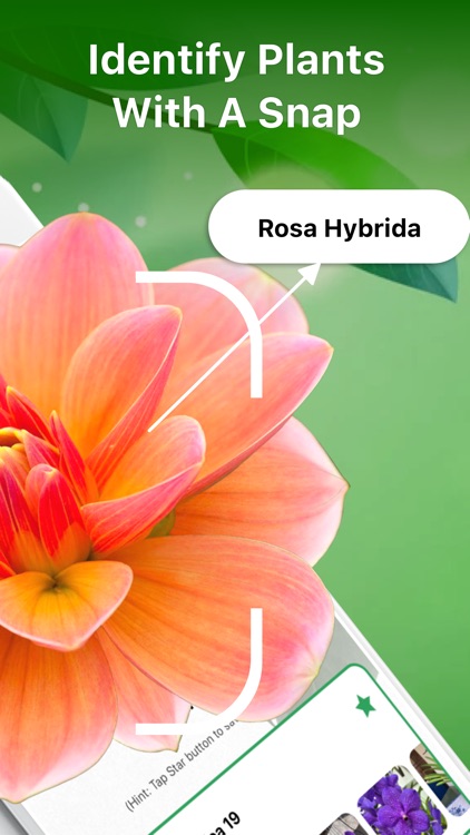 Plant Identifier Aрр Plant ID