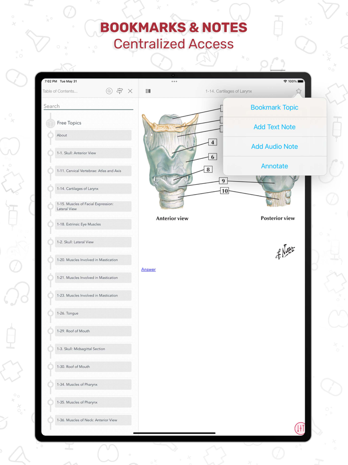 Netters Anatomy Flash Cards