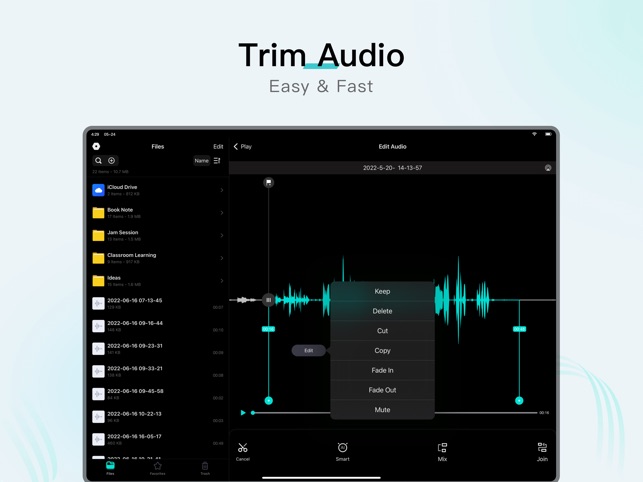 Voice Recorder - Audio Editor⁺ on the App Store