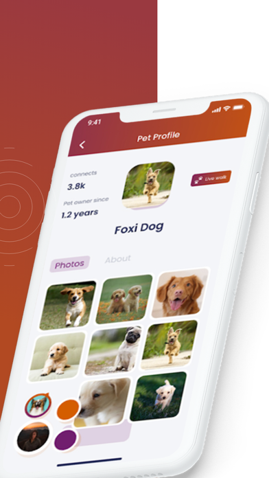 The Pet Society Screenshot
