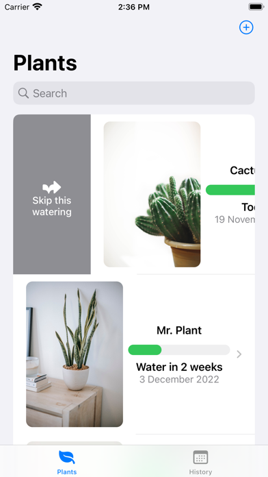 Water That Plant Screenshot