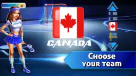 Game screenshot The puck! Goal kick! hack